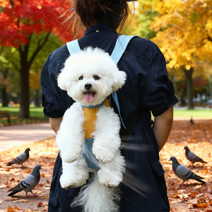 Mochila transportadora para mascotas, con cuatro patas, transpirable, para viajes, para gatos y perros pequeños - Product Image 3