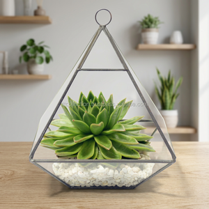 Terrario de metal de vidrio templado, terrario geométrico decorativo para plantas de interior, Terrario de vidrio - Product Image 2