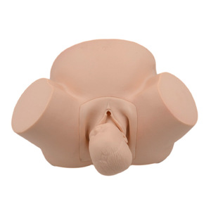 Simulador de entrega de vacío de entrenamiento de partería de ciencia médica para enseñanza - Product Image 3