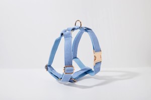 สายจูงสุนัขผ้าลูกฟูกสีฟ้าอ่อนชุดสายจูงสุนัขพร้อมสายจูงสุนัข - Product Image 3