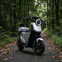 Trottinette Électrique Urbaine Adulte à Deux Roues 1500W 72V Batterie Lithium Moteur Sans Balais Haute Vitesse avec Dossier Étanche Vente en Gros
