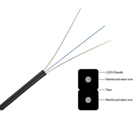 OEM fibra optica cabo FTTH Cable de caída de fibra óptica 1 núcleo 2 núcleo 4 núcleo Cable para exteriores con FRP o miembro de fuerza de acero