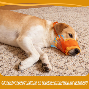 Bozal Ajustable para Perros con Malla de PVC - Bozal Antimordiscos para Control de Alimentación y Entrenamiento - Product Image 6