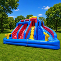 Château gonflable à succès avec toboggan aquatique et piscine à double piste pour enfants - Usage commercial, capacité 600 kg
