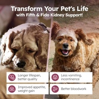 Vitaminas Líquidas para Perros de Envío Rápido, Apoyo para el Hígado, Proceso de Desintoxicación Normal, Cuidado de la Salud y Suplementos para Mascotas con Extracto de Cardo Mariano