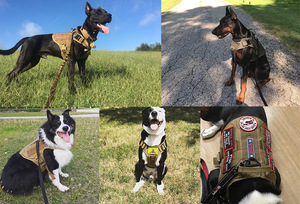 KANGO調整可能パッド入り犬用ハーネスベスト引き無し反射簡単歩行ペットハーネス大型小型犬用トレーニングランニングウォーキング - Product Image 6