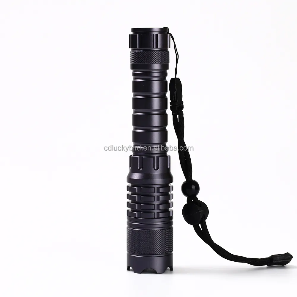 Portable Torch Shape 450nm Blue Strong Light Long Range Laser Pointer With Handle and Rechargeable 21700 Battery