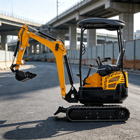 Pompe hydraulique puissante de 2 tonnes pour mini-excavatrice, idéale pour les petits travaux de terrassement et les projets de terrassement paysager.