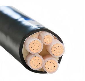 Yjlv22 bakır çekirdek zırhlı güç kablosu <span class=keywords><strong>3</strong></span>/4/5 çekirdek 6/10/16/25 kare bakır tel Yjv kablo Yjv bakır güç kablosu Yjv güç kablosu - Product Image 3