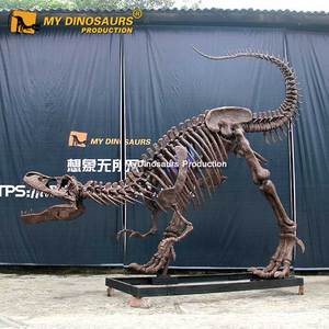 Réplique antique en forme de squelette de dinosaure, fossile, bon marché, à vendre - Product Image 2