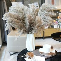 Vente chaude 45 cm Bouquet de fleurs de pampa séchées pour la fête de mariage décoration de la maison Technique sèche naturelle pour Noël Pâques