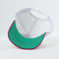 Personnalisé pour hommes femmes décontracté motif de fruits à pois Dobby Style fabriqué à partir de tissu Oxford personnalisé