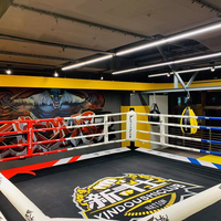Ring de boxe professionnel personnalisé pour l'entraînement en salle, la compétition en plein air de Muay Thai, UFC, MMA