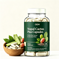 Capsules de Nopal Cactus Plus en gros OEM, 150 unités, complément alimentaire pour distributeurs