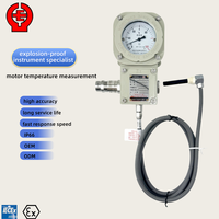 High Quality Explosion Proof IP66 DC24V Temperature Gauge Bearing Temperature Meter 0-200C 4-20mA Remote Reading Temperature