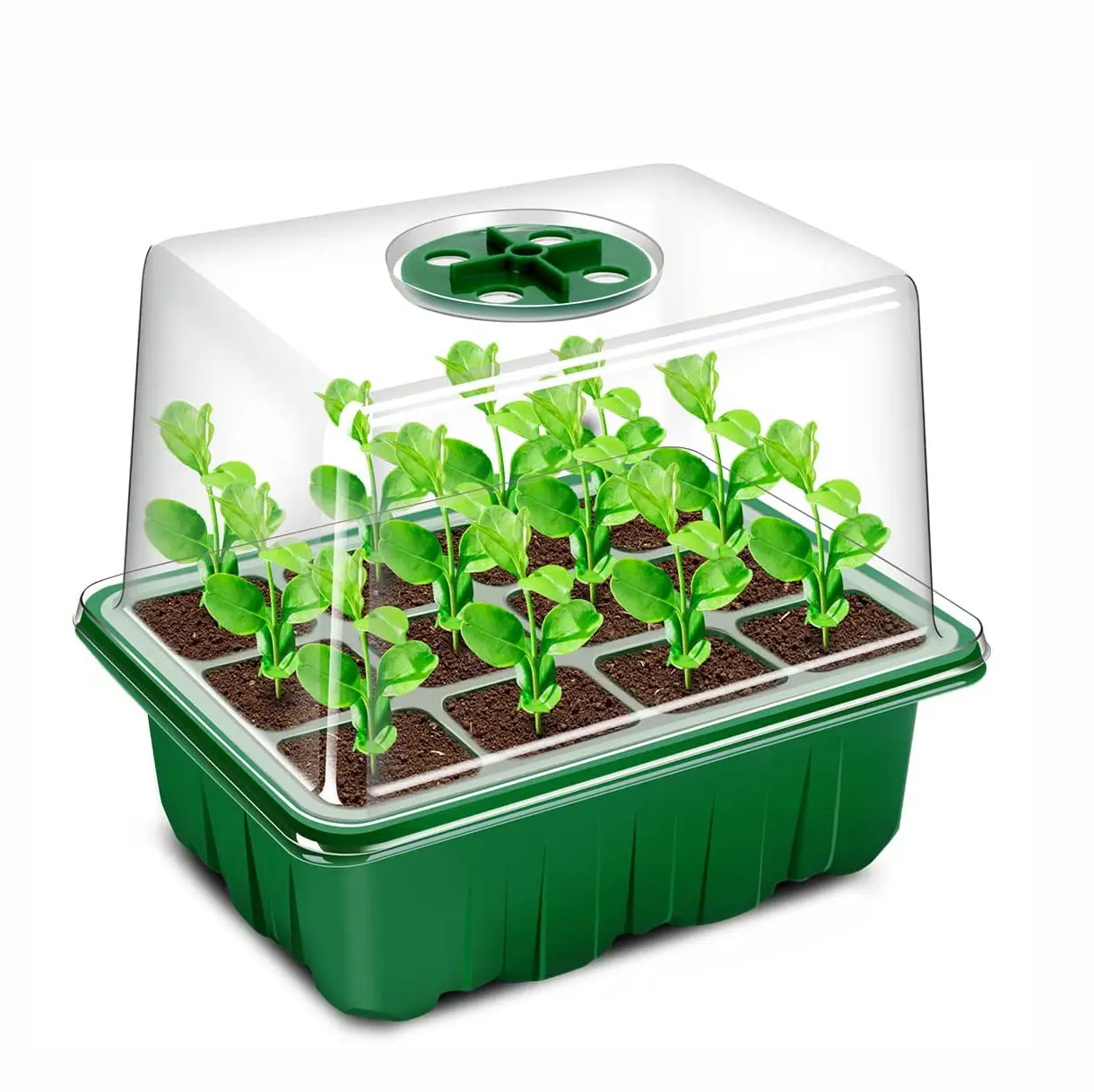 Kit de germinación de plántulas PET Blister para propagación y crecimiento de plantas de vivero de frutas para uso agrícola