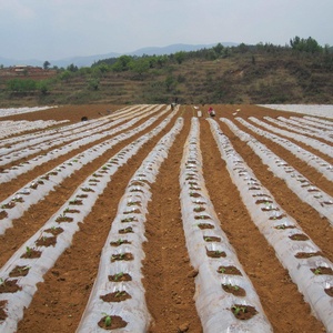 Fournisseurs de produits à succès serre agricole <span class=keywords><strong>Film</strong></span> agricole utilisé avec revêtement UV culture de légumes et de fleurs - Product Image 4
