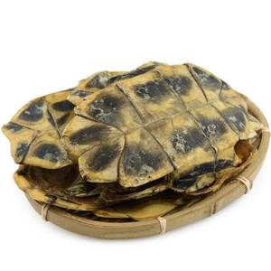 Polvo de concha de tortuga concentrado de alta calidad Extracto de concha de tortuga <span class=keywords><strong>Plastron</strong></span> - Product Image 2