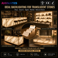 Feuille LED Flexible Ultra-Fine 10m 528 LED/M SMD 2835 DC24V Panneau Rétroéclairé Flexible pour Éclairage de Comptoirs en Pierre et Onyx Vente en Gros