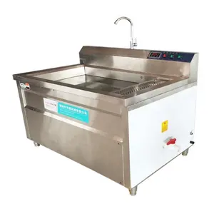 100kg/hr Small Portable Commercial Salad Vegetables Bubble Washer Fruit Surf Washing Rinsing Ozone Disinfection Machine