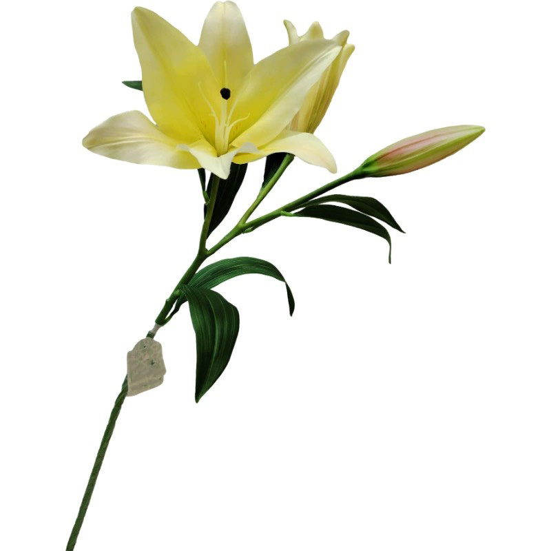 Jaune