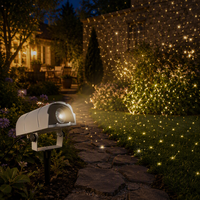 Projecteur laser GBR YH20 TS20 IP65 Twinkle Star pour extérieur, effet luciole, pour jardin, mariage, décoration d'événements