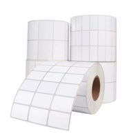 Etiquetas Autoadhesivas en Blanco, Rollo de Etiquetas Troqueladas, Etiqueta de Vinilo Impermeable para Impresora de Inyección de Tinta C6500