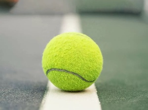 Paquete de 12 <span class=keywords><strong>pelotas</strong></span> de tenis de práctica de entrenamiento presurizadas personalizadas al por mayor, existencias a granel, <span class=keywords><strong>pelotas</strong></span> de tenis de alta calidad al por mayor - Product Image 4