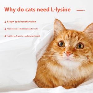 Suplemento veterinario de vitamina taurina lisina OEM ODM para gatos nutrición de mascotas de plástico para reducir el herpesvirus felino mejorar la salud - Product Image 3