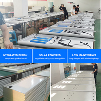 Venta al por Mayor de Farolas Solares LED Monocristalinas de 120W con Batería de Litio para Uso Comercial
