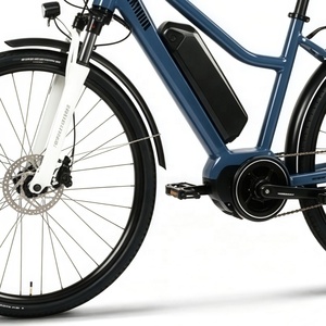 Vélo électrique de ville 28 pouces, moteur central Bafang M420 250W, capteur de couple <span class=keywords><strong>NEXUS</strong></span> <span class=keywords><strong>7</strong></span> vitesses, frein à disque hydraulique, batterie au lithium - Product Image 4