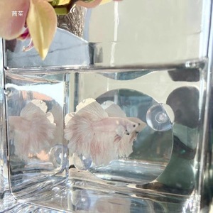 Jeneca กระจกเล่นปลาอะคริลิกสองด้านสำหรับฝึกเล่นตู้ปลาโต๊ะ - Product Image 1