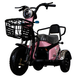 Motocicleta Milg Slingshot, Triciclo Eléctrico, Motocicleta de 3 Ruedas, Motocicleta de Carga, Scooter Eléctrico de Carga - Product Image 1