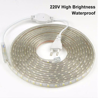 Guirlandes lumineuses en cuivre, prise EU 220V, 8mm, IP67, haute luminosité, étanches, télécommandées, à intensité variable, pour éclairage de chambre, de salon et de cuisine