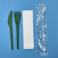 Ensemble de couverts jetables écologiques en plastique arc-en-ciel titane multicolore emballés pour anniversaire, emballés en airlaid