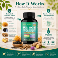 Capsules de Sea Moss, Huile de Nigelle, Ashwagandha et Gingembre – Soutien Quotidien au Bien-être et au Système Immunitaire – Marque Privée OEM ODM Vente en Gros