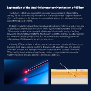 Máquina de Láser de Diodo de 980nm y 1470nm, Portátil, para Eliminación de Hongos en las Uñas, Arañas Vasculares, Vasos Sanguíneos, Lipólisis, Endoláser - Product Image 4