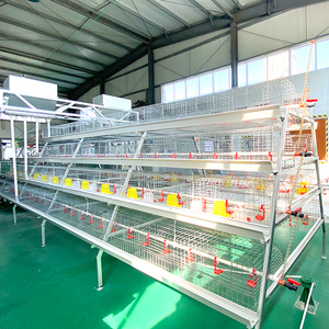 Day Old Chicks Cage Small Chicken Chick Cages