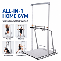 Station de musculation tout-en-un pour la maison, appareil d'entraînement complet pour tractions, dips, squats assistés et étirements de yoga