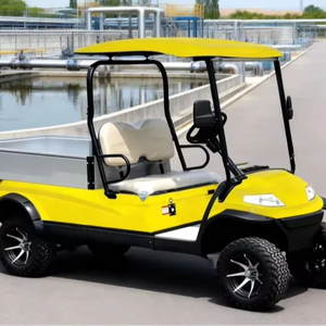 A627.H8G Carrello da Golf a 2 Posti con Cassone Aperto per Trasporto Stabile di Piantine di Fiori - Product Image 1