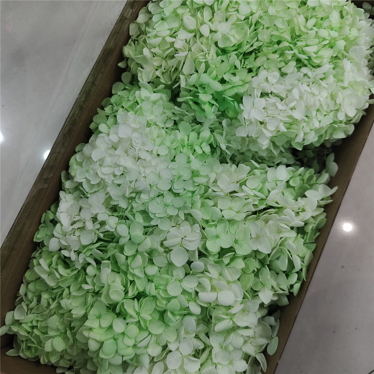 Caja degradada verde claro y blanco anna-90-100g
