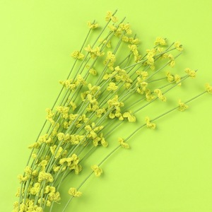 Bouquet de fleurs fraîches préservées, fait main, au crochet, transfrontalier, avec radix ophiopogonis, en fil tricoté, pour le Nouvel An et le Printemps - Product Image 2