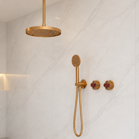 Système de douche de pluie et de douche à main en laiton sur mesure B2B avec commande à deux poignées pour projets de salles de bain d'hôtels de luxe