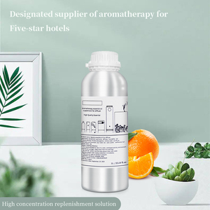 1000ml siêu âm Atomizer tinh dầu khuếch tán cho khách sạn và trung tâm mua sắm làm mát không khí cho Cuộc Gặp Gỡ - Product Image 4