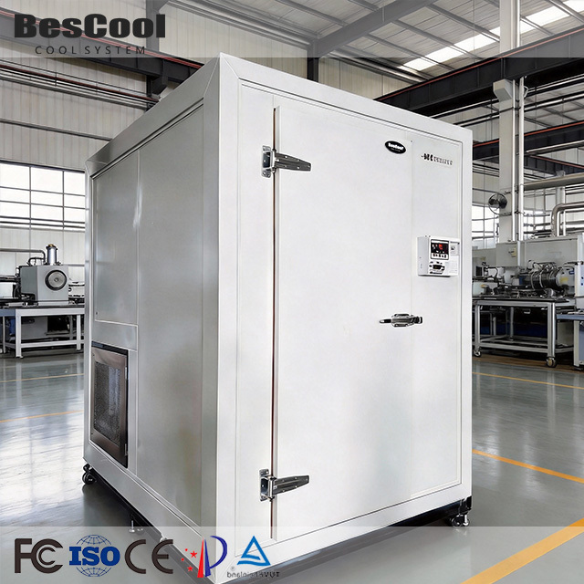 Walk in Freezer Supermarket Refrigeration Storage