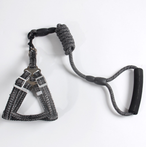 Collier en cuir pu à Double chaîne <span class=keywords><strong>pour</strong></span> <span class=keywords><strong>chien</strong></span>, laisse rétractable, personnalisé <span class=keywords><strong>pour</strong></span> distributeur de sac de poope, collier Led, personnalisé, Tooled <span class=keywords><strong>pour</strong></span> chasseur - Product Image 3