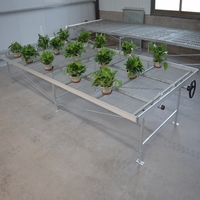 Table de culture en treillis métallique soudé à faible coût avec plateau roulant pour plantes à fleurs