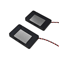 Altoparlante a emissione laterale ultra-sottile 20*30MM con 8 Ohm, 0.8/1.0 Watt, per Tablet, Altoparlante Integrato Impermeabile IP67