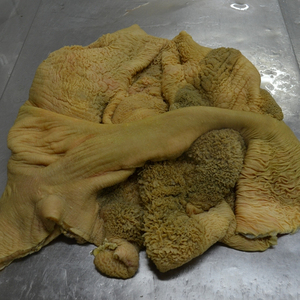 Alta calidad grado a carne congelada Omasum variedad paquete cuerpo entero estómago cola pies pecho grasa-paquete al vacío proceso LQF bajo en sodio - Product Image 1