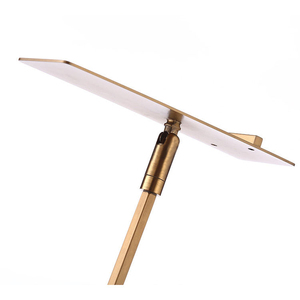 Zapatero de exhibición de alta calidad de almacén, Zapatero de exhibición de acero inoxidable ajustable chapado en oro - Product Image 3